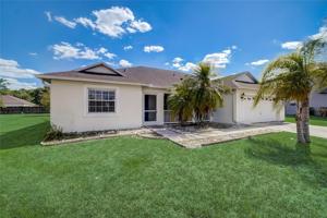 5563 LIVE WILLOW