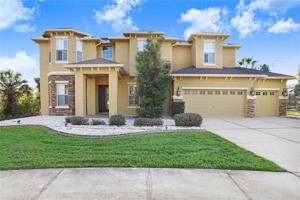 10529 PALM COVE