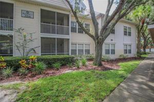 3266 HAVILAND