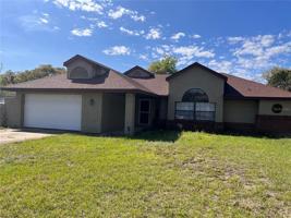 2641 HIBISCUS
