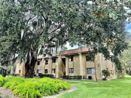 310 PALM COAST NE