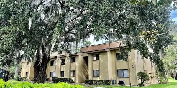 310 PALM COAST NE