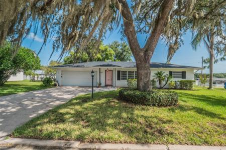 527 PALM