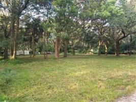 3833 FERN GULLY
