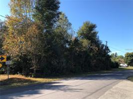 2311 TIMBERCREST
