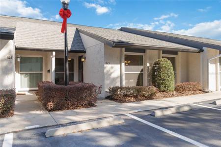 613 ORANGE TREE COURT