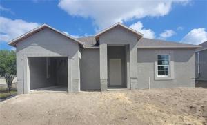 19 CEDAR