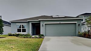 3981 FESCUE