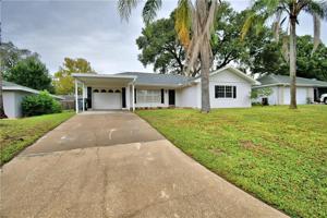 3023 PINETREE