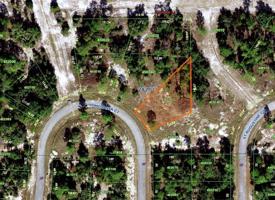 1319 HOMOSASSA