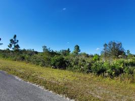 520 ALLAMANDA