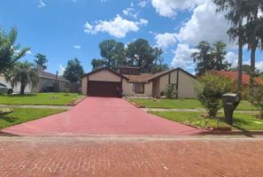 3734 CAMINO