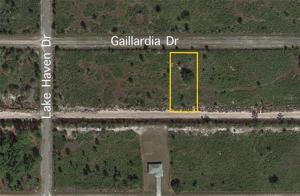 515 GAILLARDIA