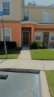 4159 WINDING VINE
