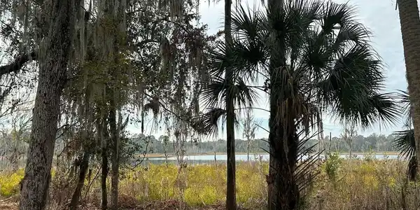 Image 3 Image 3