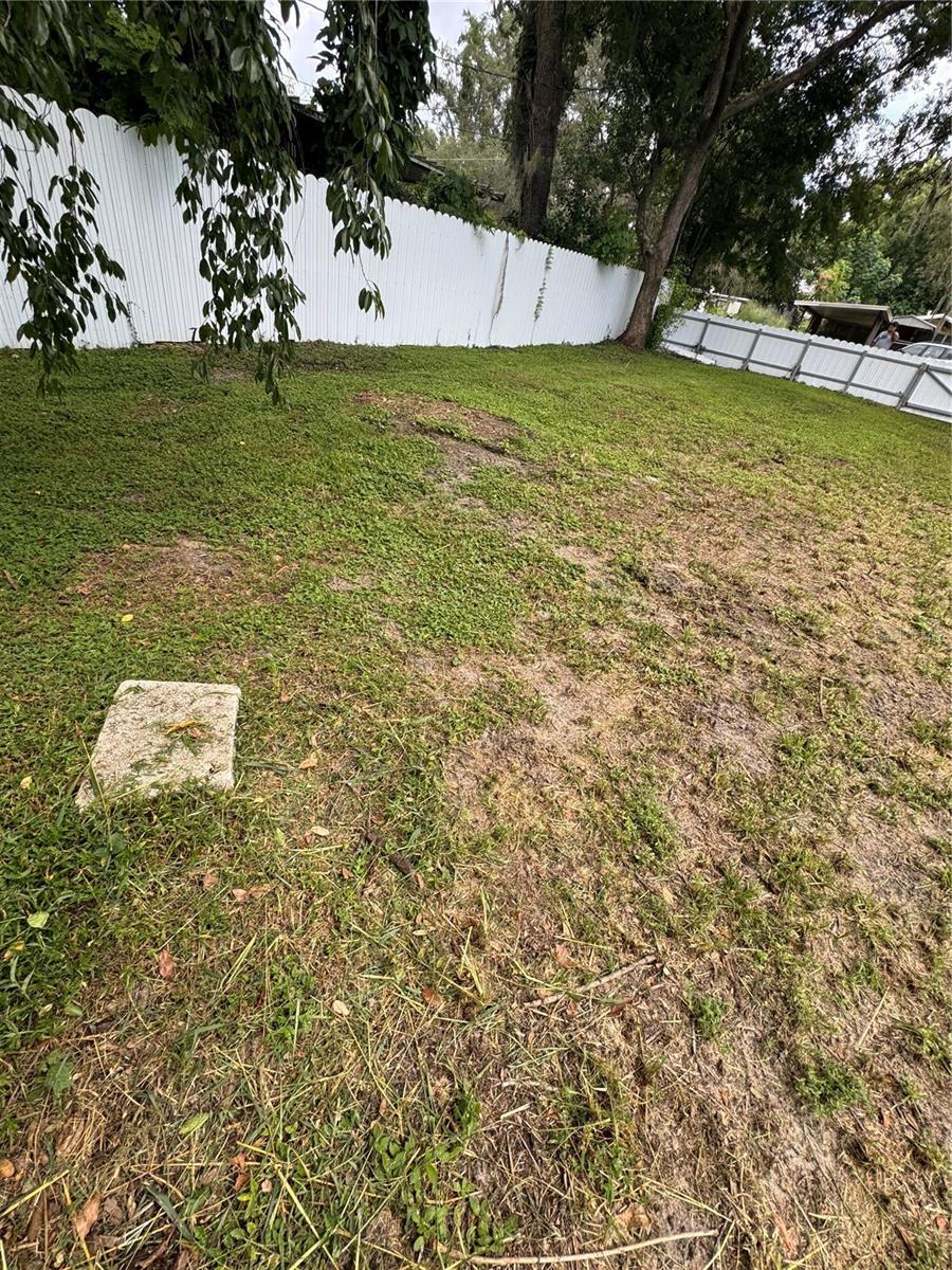 Image 4 Image 4