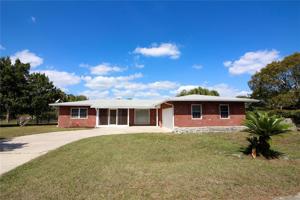 2622 HIBISCUS
