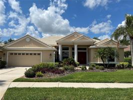 6642 WINDJAMMER