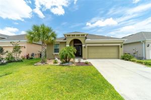 636 STAR MAGNOLIA