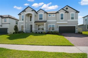 1811 JUNIPER HAMMOCK