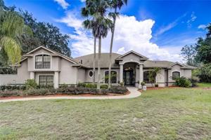 113 GRASSY LAKE