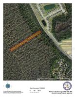 POINCIANA