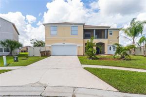 2531 CALLA LILY