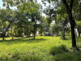 LANE PARK