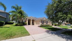 2796 PALASTRO