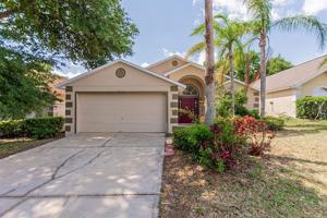 16426 COOPERS HAWK