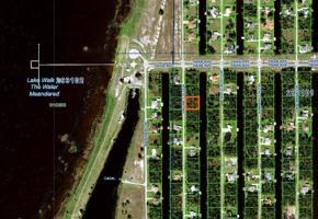 6 PALMETTO S