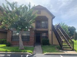 320 BLACK OAK