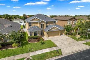 13213 FOX GLOVE