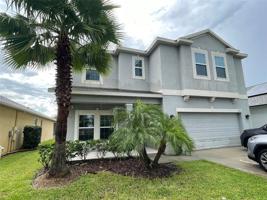 523 BLUE CYPRESS