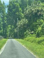 TBD COUNTY ROAD 316