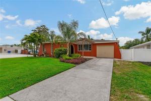 51 CYPRESS