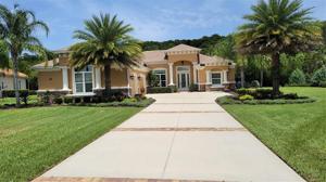 36 SCARLET OAK