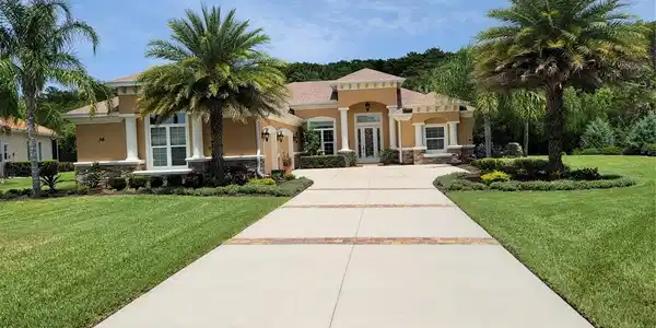 36 SCARLET OAK