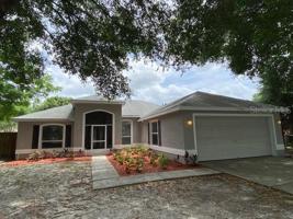 2705 BUTTERNUT