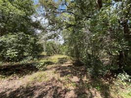 7303 WILLOUGHBY