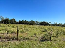 3155 TINDALL ACRES