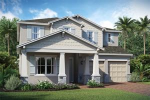 10533 PETRILLO