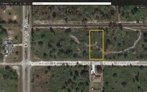 716 POINCIANA