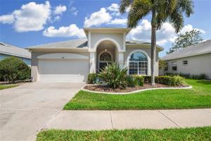 3717 RAIN TREE
