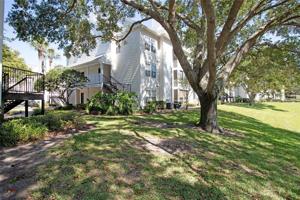 3304 HAVILAND