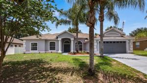 16548 ARROWHEAD