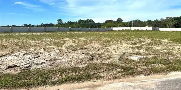 72 DEL PALMA
