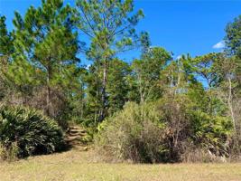 Lot 4 TAMARAC