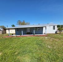 200 RAINTREE