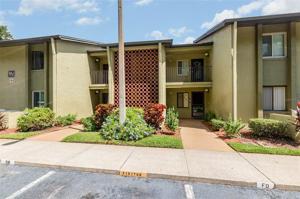 5 ESCONDIDO